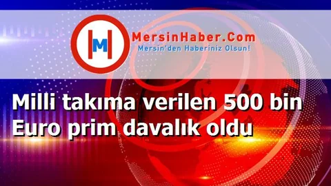 Milli takıma verilen 500 bin Euro prim davalık oldu