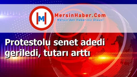 Protestolu senet adedi geriledi, tutarı arttı