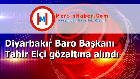 Diyarbakır Baro Başkanı Tahir Elçi gözaltına alındı