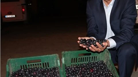 Marmarabirlik ürün alımlarına pazartesi günü başlıyor