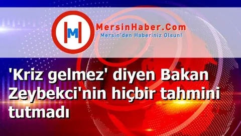 'Kriz gelmez' diyen Bakan Zeybekci'nin hiçbir tahmini tutmadı