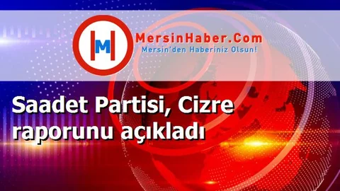 Saadet Partisi, Cizre raporunu açıkladı