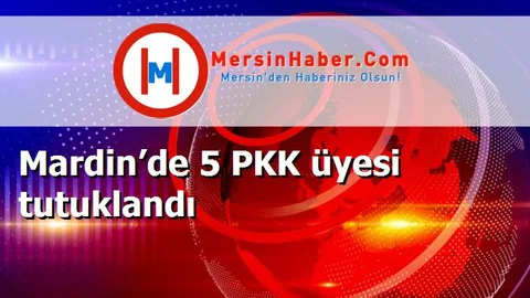 Mardin’de 5 PKK üyesi tutuklandı