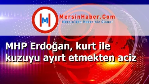 MHP Erdoğan, kurt ile kuzuyu ayırt etmekten aciz