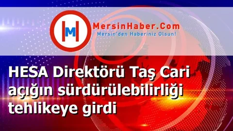 HESA Direktörü Taş Cari açığın sürdürülebilirliği tehlikeye girdi
