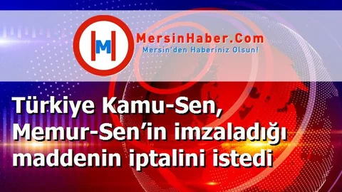 Türkiye Kamu-Sen, Memur-Sen’in imzaladığı maddenin iptalini istedi