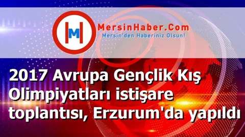 2017 Avrupa Gençlik Kış Olimpiyatları istişare toplantısı, Erzurum'da yapıldı