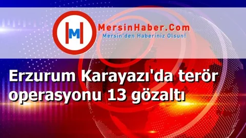 Erzurum Karayazı'da terör operasyonu 13 gözaltı