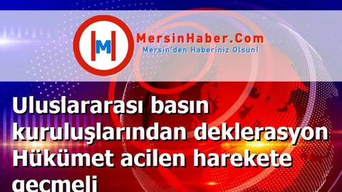 Uluslararası basın kuruluşlarından deklerasyon Hükümet acilen harekete geçmeli