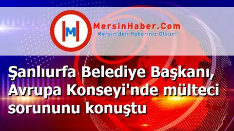 Şanlıurfa Belediye Başkanı, Avrupa Konseyi'nde mülteci sorununu konuştu
