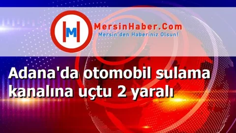 Adana'da otomobil sulama kanalına uçtu 2 yaralı