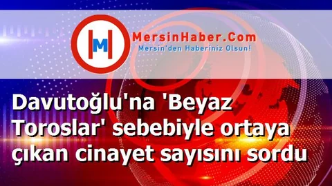 Davutoğlu'na 'Beyaz Toroslar' sebebiyle ortaya çıkan cinayet sayısını sordu