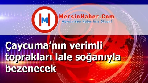 Çaycuma’nın verimli toprakları lale soğanıyla bezenecek