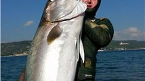 Zıpkınla 50 kiloluk balık yakaladı