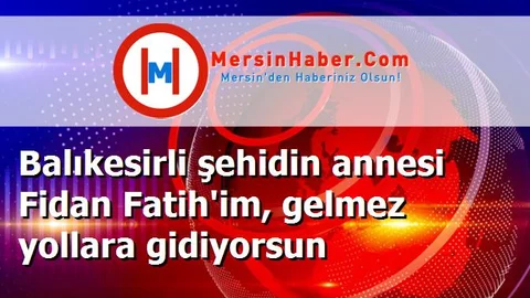 Balıkesirli şehidin annesi Fidan Fatih'im, gelmez yollara gidiyorsun