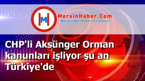 CHP'li Aksünger Orman kanunları işliyor şu an Türkiye'de