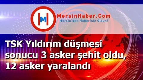 TSK Yıldırım düşmesi sonucu 3 asker şehit oldu, 12 asker yaralandı