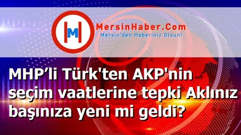 MHP’li Türk'ten AKP'nin seçim vaatlerine tepki Aklınız başınıza yeni mi geldi?