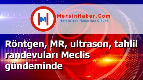 Röntgen, MR, ultrason, tahlil randevuları Meclis gündeminde
