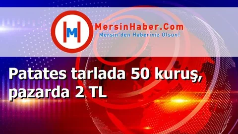 Patates tarlada 50 kuruş, pazarda 2 TL