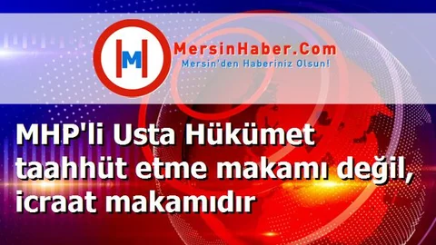 MHP'li Usta Hükümet taahhüt etme makamı değil, icraat makamıdır
