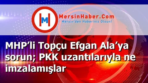 MHP’li Topçu Efgan Ala’ya sorun; PKK uzantılarıyla ne imzalamışlar