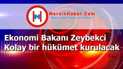 Ekonomi Bakanı Zeybekci Kolay bir hükümet kurulacak