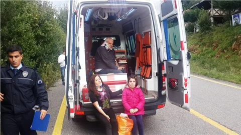 Araca giren arı yüzünden sürücü kaza yaptı 3 yaralı