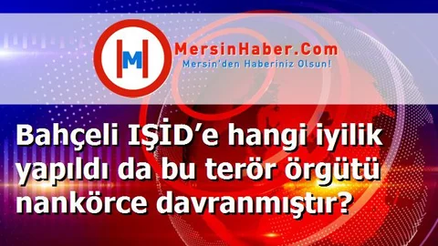 Bahçeli IŞİD’e hangi iyilik yapıldı da bu terör örgütü nankörce davranmıştır?