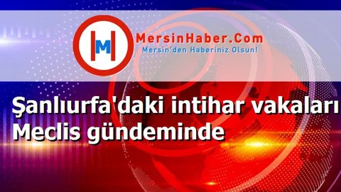 Şanlıurfa'daki intihar vakaları Meclis gündeminde