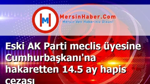 Eski AK Parti meclis üyesine Cumhurbaşkanı'na hakaretten 14.5 ay hapis cezası