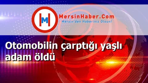 Otomobilin çarptığı yaşlı adam öldü