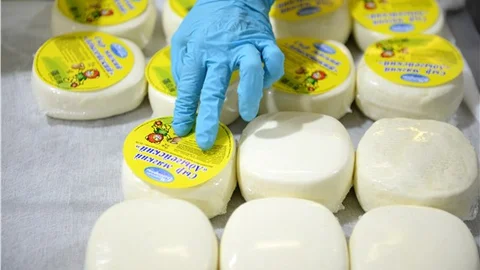 Ambargo Rusya’ya yaradı, vatandaş kendi gıdasını üretiyor