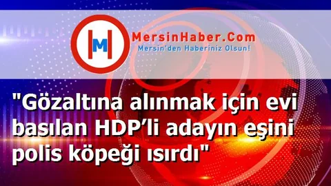 "Gözaltına alınmak için evi basılan HDP’li adayın eşini polis köpeği ısırdı"
