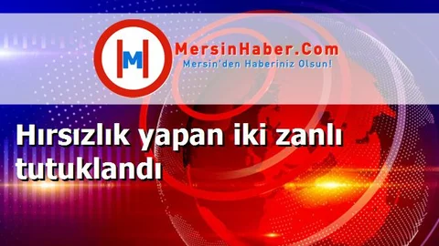 Hırsızlık yapan iki zanlı tutuklandı