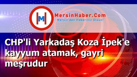 CHP'li Yarkadaş Koza İpek'e kayyum atamak, gayri meşrudur