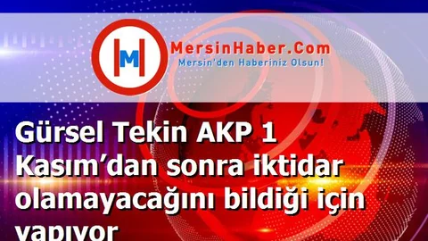 Gürsel Tekin AKP 1 Kasım’dan sonra iktidar olamayacağını bildiği için yapıyor