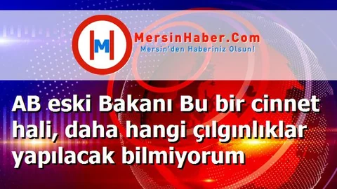 AB eski Bakanı Bu bir cinnet hali, daha hangi çılgınlıklar yapılacak bilmiyorum