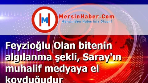Feyzioğlu Olan bitenin algılanma şekli, Saray'ın muhalif medyaya el koyduğudur