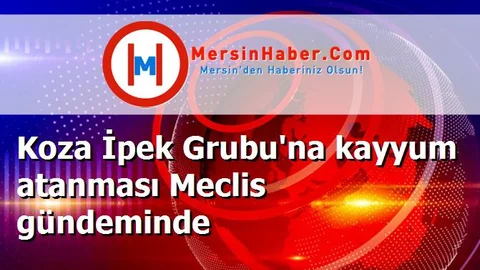 Koza İpek Grubu'na kayyum atanması Meclis gündeminde