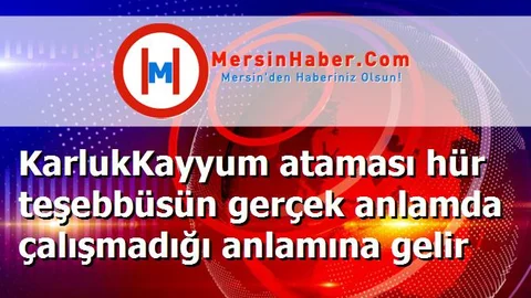 KarlukKayyum ataması hür teşebbüsün gerçek anlamda çalışmadığı anlamına gelir