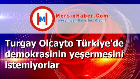 Turgay Olcayto Türkiye'de demokrasinin yeşermesini istemiyorlar