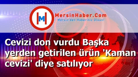Cevizi don vurdu Başka yerden getirilen ürün 'Kaman cevizi' diye satılıyor