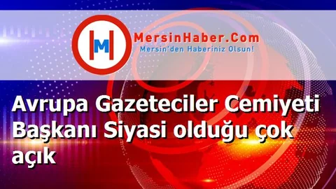 Avrupa Gazeteciler Cemiyeti Başkanı Siyasi olduğu çok açık