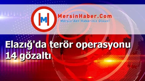 Elazığ'da terör operasyonu 14 gözaltı