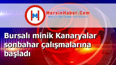 Bursalı minik Kanaryalar sonbahar çalışmalarına başladı