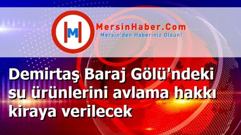 Demirtaş Baraj Gölü'ndeki su ürünlerini avlama hakkı kiraya verilecek