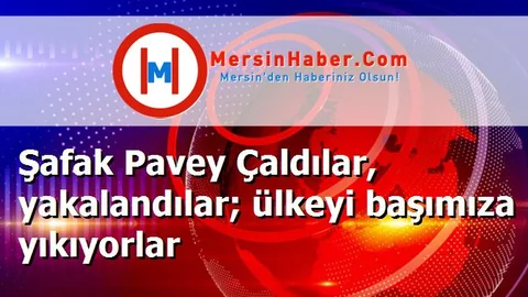 Şafak Pavey Çaldılar, yakalandılar; ülkeyi başımıza yıkıyorlar