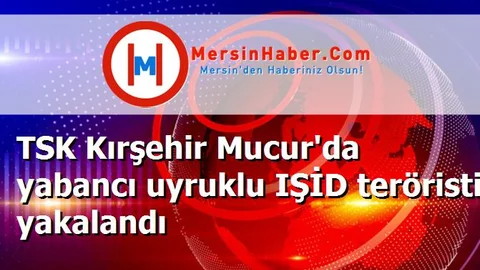 TSK Kırşehir Mucur'da yabancı uyruklu IŞİD teröristi yakalandı