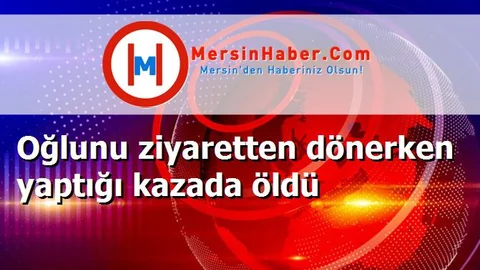 Oğlunu ziyaretten dönerken yaptığı kazada öldü